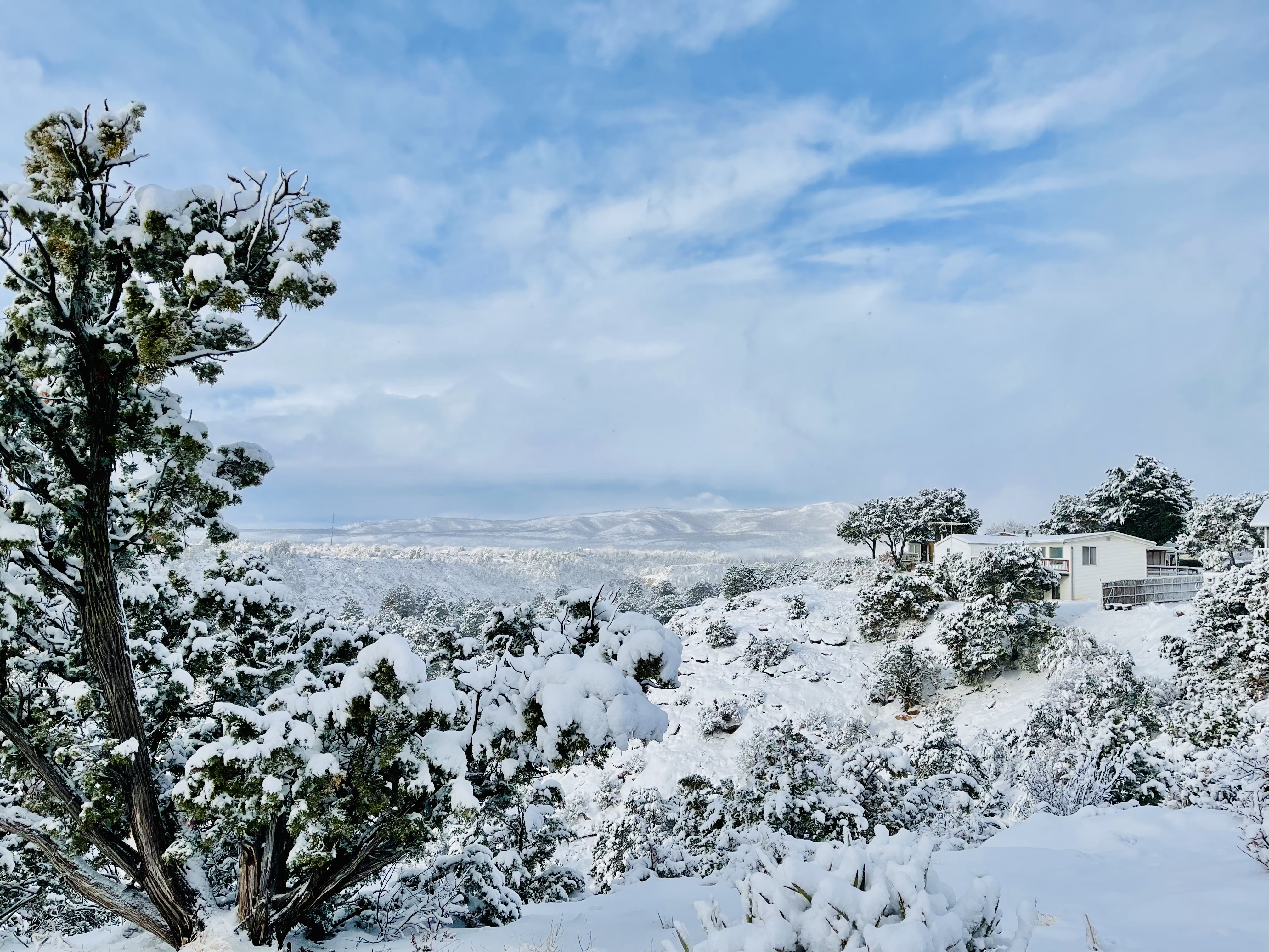 New Years Snow Day 2022